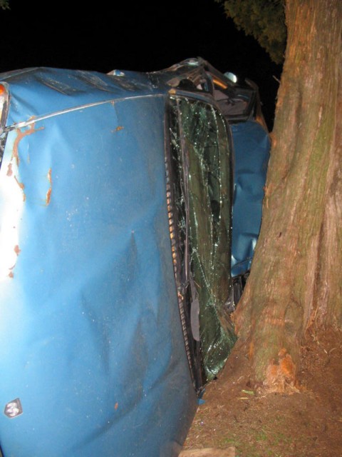 Close up of the vehicle into the tree